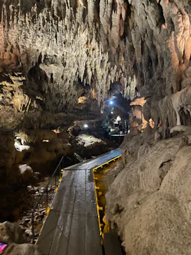 CAVE OKINAWAに投稿された画像（2026/3/9）