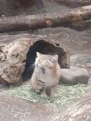 那須どうぶつ王国に投稿された画像（2026/3/9）