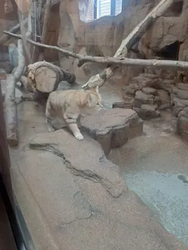 那須どうぶつ王国に投稿された画像（2026/3/9）