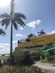 ナゴパイナップルパークに投稿された画像（2026/3/9）