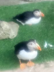 那須どうぶつ王国に投稿された画像（2026/3/9）