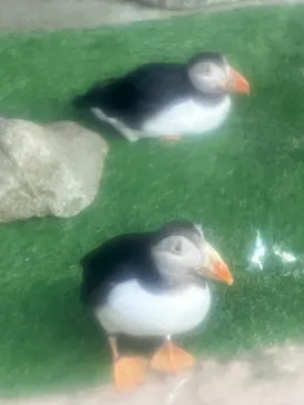 那須どうぶつ王国に投稿された画像（2026/3/9）