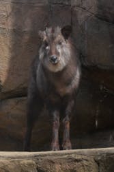 那須どうぶつ王国に投稿された画像（2026/3/9）