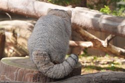 那須どうぶつ王国に投稿された画像（2026/3/9）