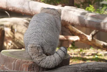 那須どうぶつ王国に投稿された画像（2026/3/9）