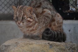 那須どうぶつ王国に投稿された画像（2026/3/9）