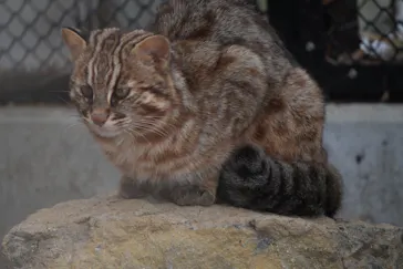 那須どうぶつ王国に投稿された画像（2026/3/9）
