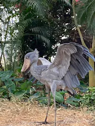 AQUARIUM × ART　atoa×神戸どうぶつ王国に投稿された画像（2026/3/10）