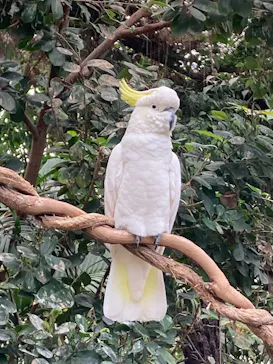 AQUARIUM × ART　atoa×神戸どうぶつ王国に投稿された画像（2026/3/10）