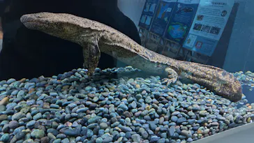 AOAO SAPPOROに投稿された画像（2026/3/10）