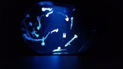 AOAO SAPPOROに投稿された画像（2026/3/10）