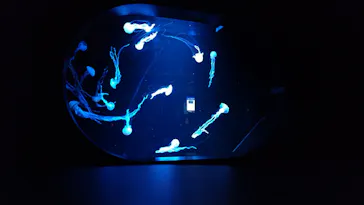 AOAO SAPPOROに投稿された画像（2026/3/10）