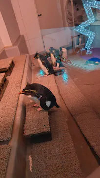 AOAO SAPPOROに投稿された画像（2026/3/10）