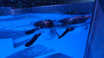 AOAO SAPPOROに投稿された画像（2026/3/10）