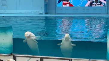 横浜・八景島シーパラダイスに投稿された画像（2026/3/10）