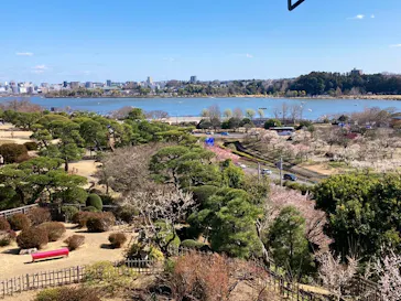 偕楽園本園に投稿された画像（2026/3/10）