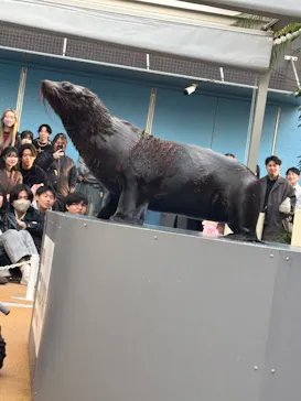 マクセル アクアパーク品川に投稿された画像（2026/3/10）