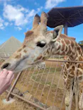 伊豆シャボテン動物公園に投稿された画像（2026/3/10）