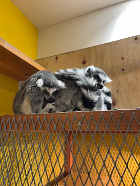 アニタッチ 東京ドームシティに投稿された画像（2026/3/10）