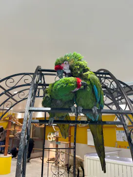 アニタッチ 東京ドームシティに投稿された画像（2026/3/10）