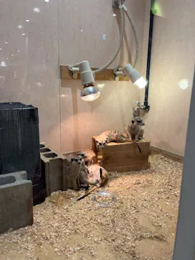 アニタッチ 東京ドームシティに投稿された画像（2026/3/10）