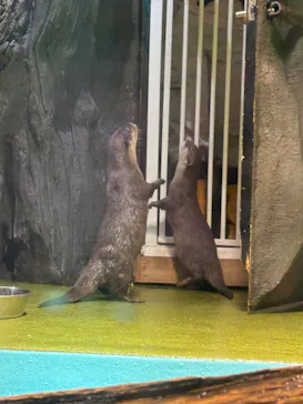 竹島水族館に投稿された画像（2026/3/10）