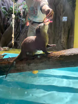 竹島水族館に投稿された画像（2026/3/10）