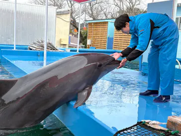 ゼロ距離水族館 伊勢シーパラダイスに投稿された画像（2026/3/10）