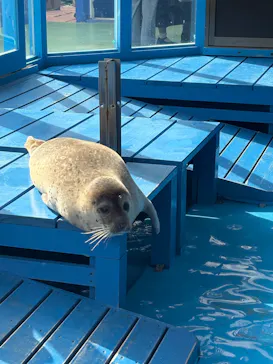 ゼロ距離水族館 伊勢シーパラダイスに投稿された画像（2026/3/10）