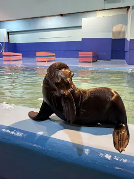 ゼロ距離水族館 伊勢シーパラダイスに投稿された画像（2026/3/10）