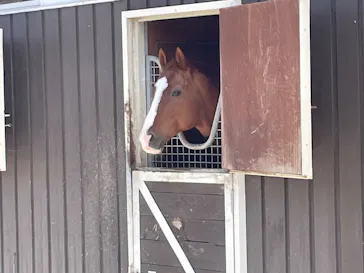 ノーザンホースパークに投稿された画像（2026/3/10）