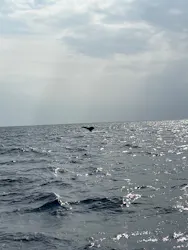 マリンクラブ ベリー 那覇店に投稿された画像（2026/3/10）