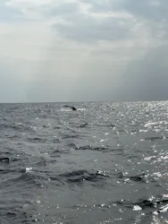 マリンクラブ ベリー 那覇店に投稿された画像（2026/3/10）