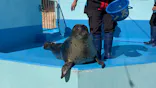 ゼロ距離水族館 伊勢シーパラダイスに投稿された画像（2026/3/10）