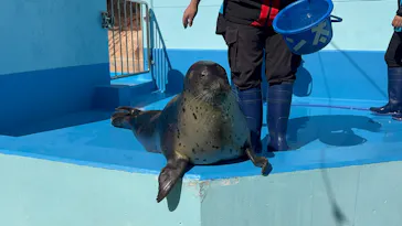 ゼロ距離水族館 伊勢シーパラダイスに投稿された画像（2026/3/10）