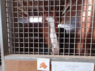 ノーザンホースパークに投稿された画像（2026/3/10）