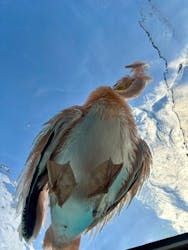 サンシャイン水族館に投稿された画像（2026/3/10）