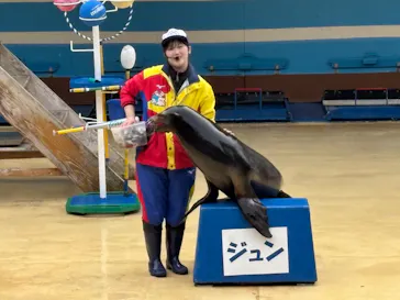 鳥羽湾めぐりとイルカ島に投稿された画像（2026/3/10）