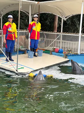 鳥羽湾めぐりとイルカ島に投稿された画像（2026/3/10）