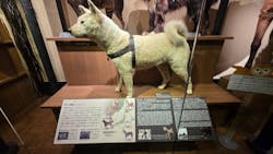 国立科学博物館に投稿された画像（2026/3/10）