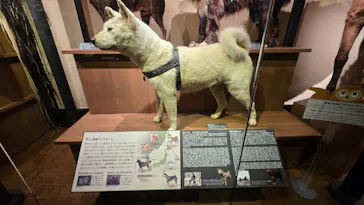 国立科学博物館に投稿された画像（2026/3/10）