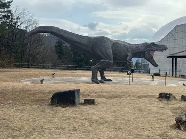 福井県立恐竜博物館に投稿された画像（2026/3/10）