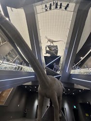 福井県立恐竜博物館に投稿された画像（2026/3/10）
