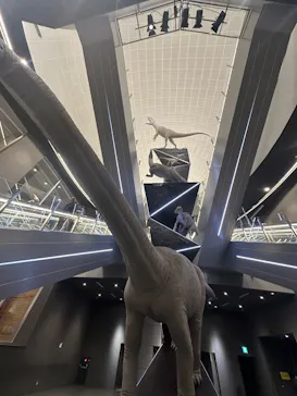 福井県立恐竜博物館に投稿された画像（2026/3/10）