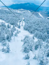 蔵王ロープウェイに投稿された画像（2026/3/10）