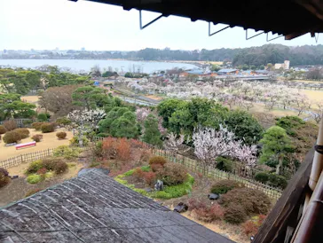 偕楽園本園に投稿された画像（2026/3/10）