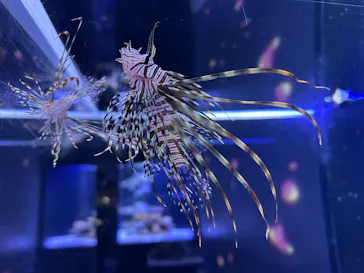 マクセル アクアパーク品川に投稿された画像（2026/3/10）