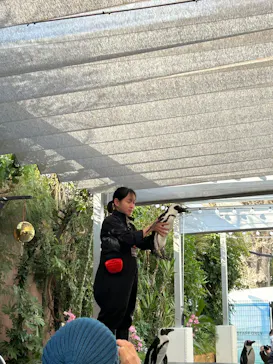 マクセル アクアパーク品川に投稿された画像（2026/3/10）