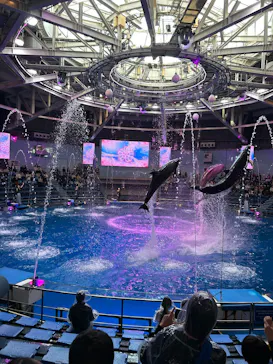 マクセル アクアパーク品川に投稿された画像（2026/3/10）