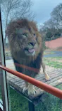 多摩動物公園に投稿された画像（2026/3/10）